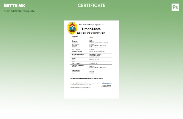 модерен стил на Тимор источниот дел од витално значење евиденција за смртен шабл